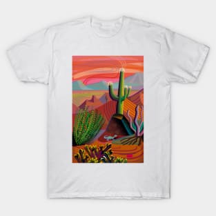 Gila River Desert Sunset T-Shirt